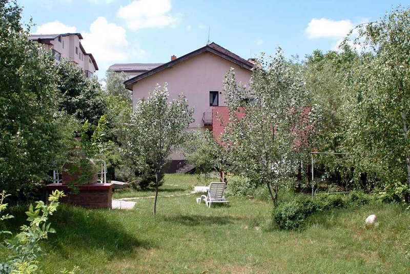 Asociatia Phoenix Care Home,